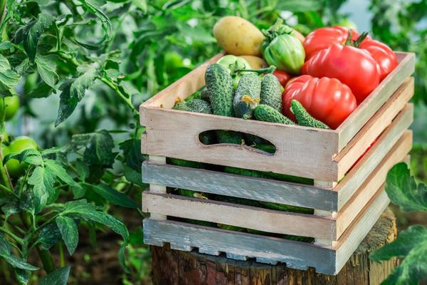 11 сентября - Районный Дом культуры приглашает на ярмарку - продажу даров с сада и огорода урожая 2021 года 🍏